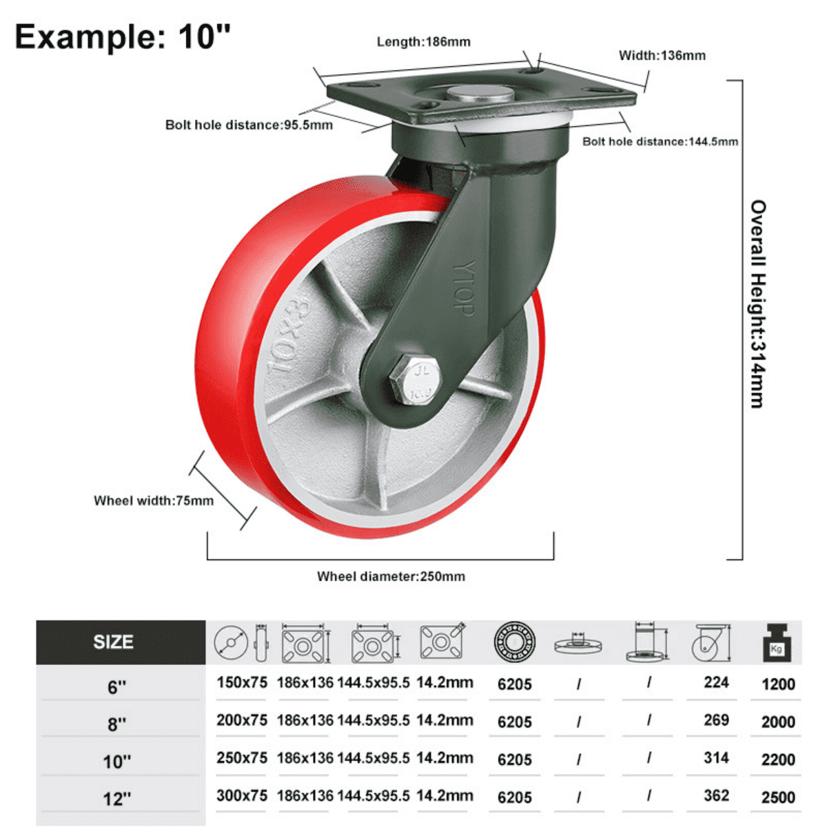 zama (10)